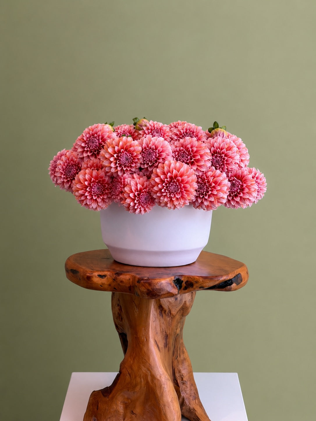 Rêverie de Dahlias – Prado Flowers