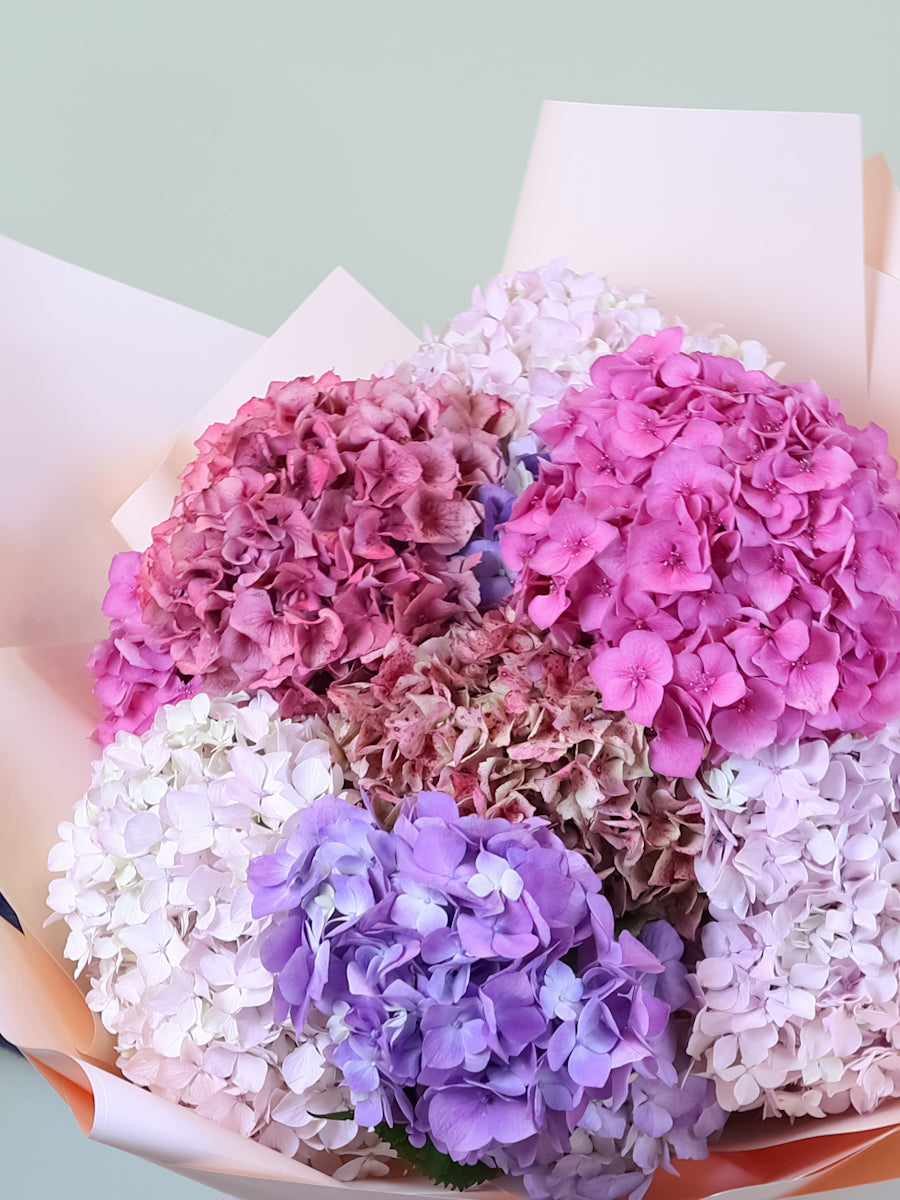 Mixed Hydrangea Bouquet – Prado Flowers