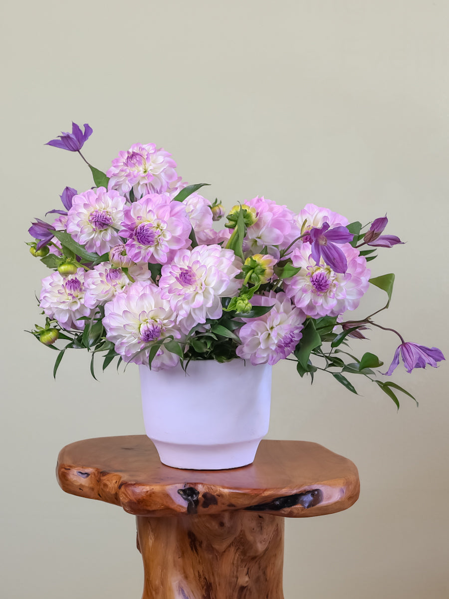 Dahlia Meadow – Prado Flowers